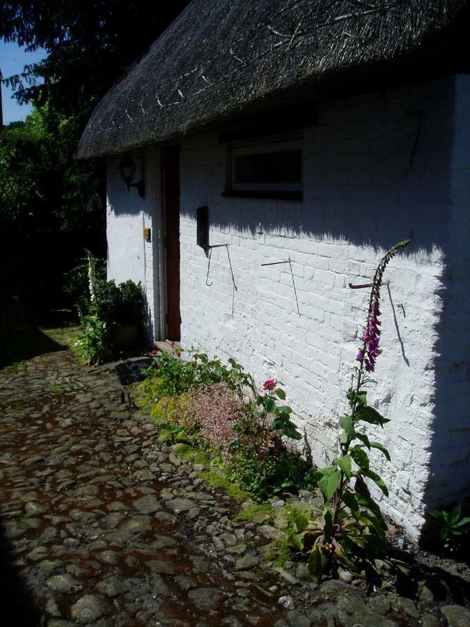 Stable Cottageディバイザス エクステリア 写真